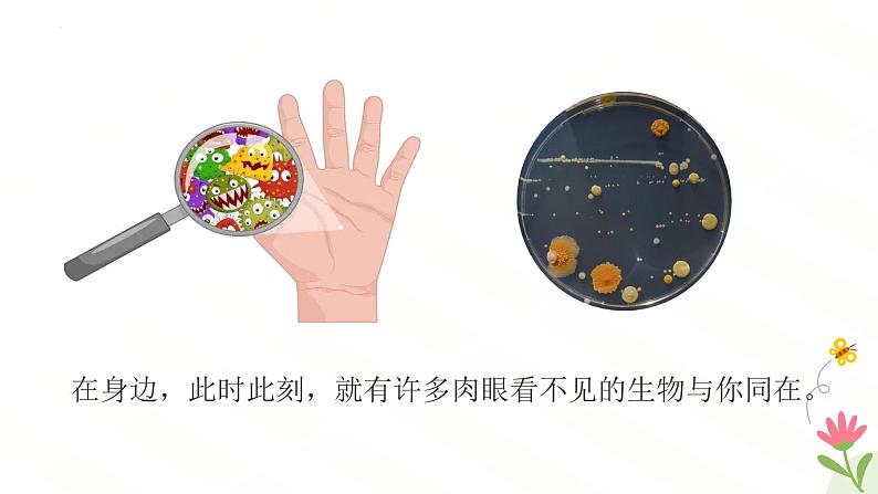 开学第一课主题课件---2024-2025学年人教版(2024)生物七年级上册06