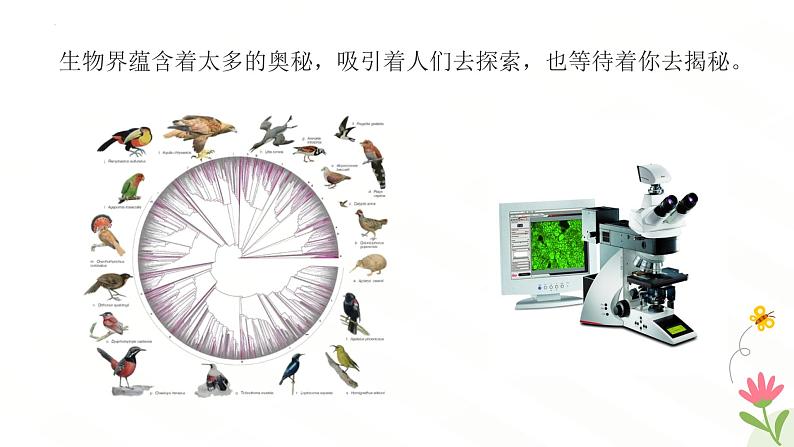 开学第一课主题课件---2024-2025学年人教版(2024)生物七年级上册08