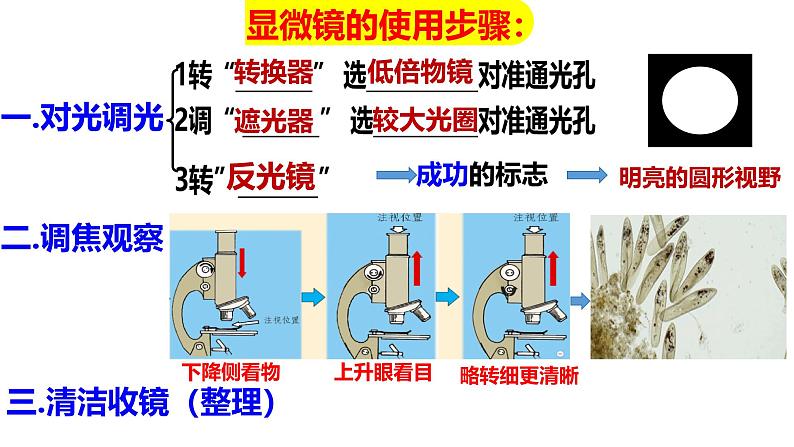 人教版生物七年级上册1.3.4《单细胞生物》(课件)第5页