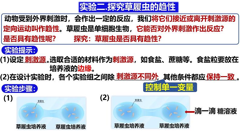 人教版生物七年级上册1.3.4《单细胞生物》(课件)第6页