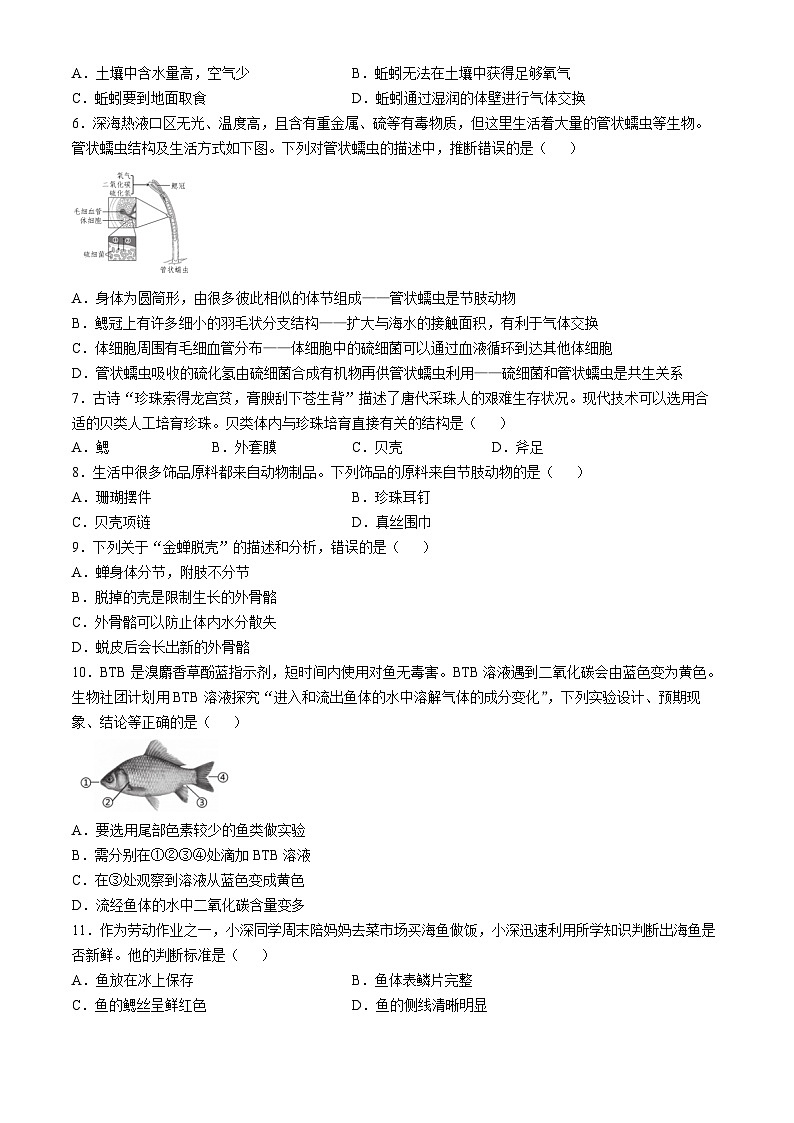 广东省深圳市龙岗区2024-2025学年八年级上学期10月学情诊断生物月考联考试卷02