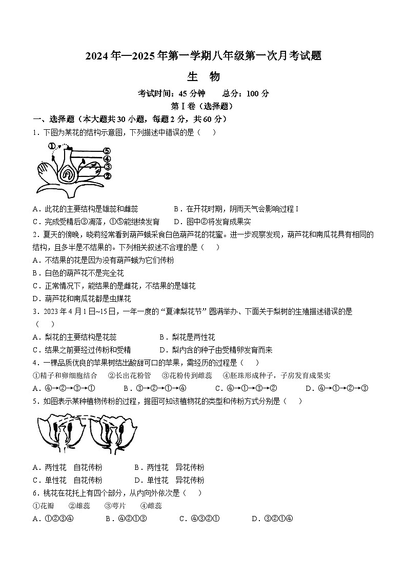 山东省齐河县马集中学2024-2025学年八年级上学期第一次月考生物月考试卷(无答案)第1页