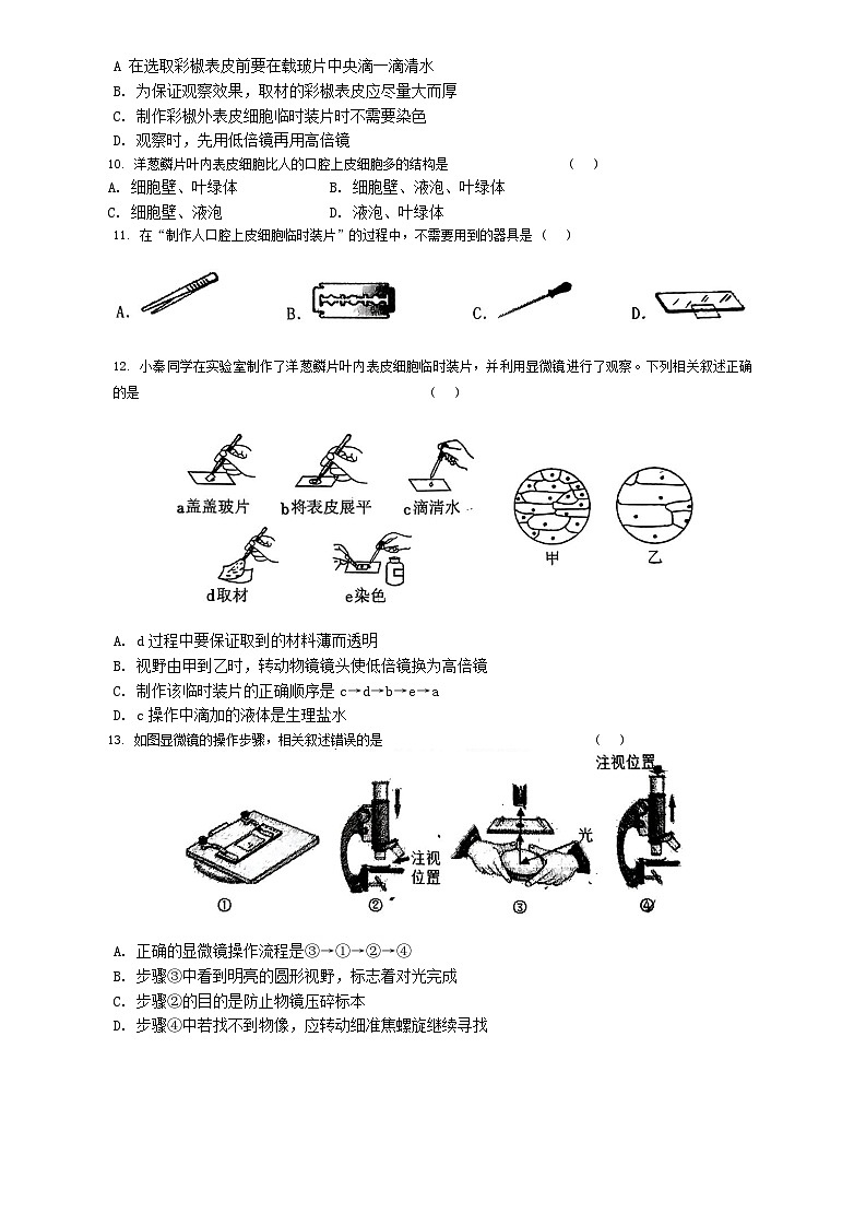 吉林省长春市吉林大学附属中学2024-2025学年七年级上学期期中测试生物试题02