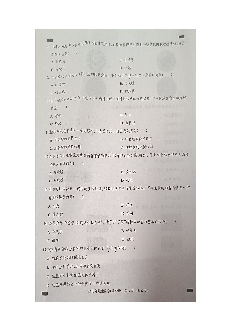 河北省邯郸市广平县实验中学2024-2025学年七年级上学期10月月考生物试题第3页
