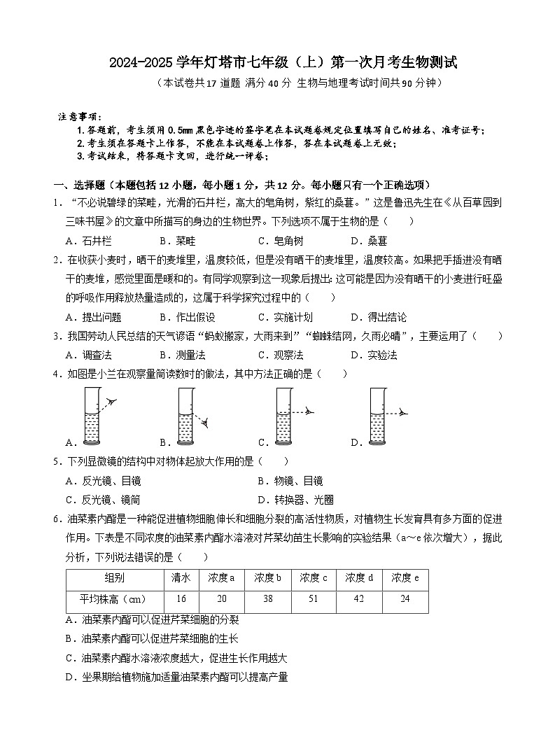 遼寧省遼陽市燈塔市2024-2025學年七年級上學期10月月考生物試題第1頁