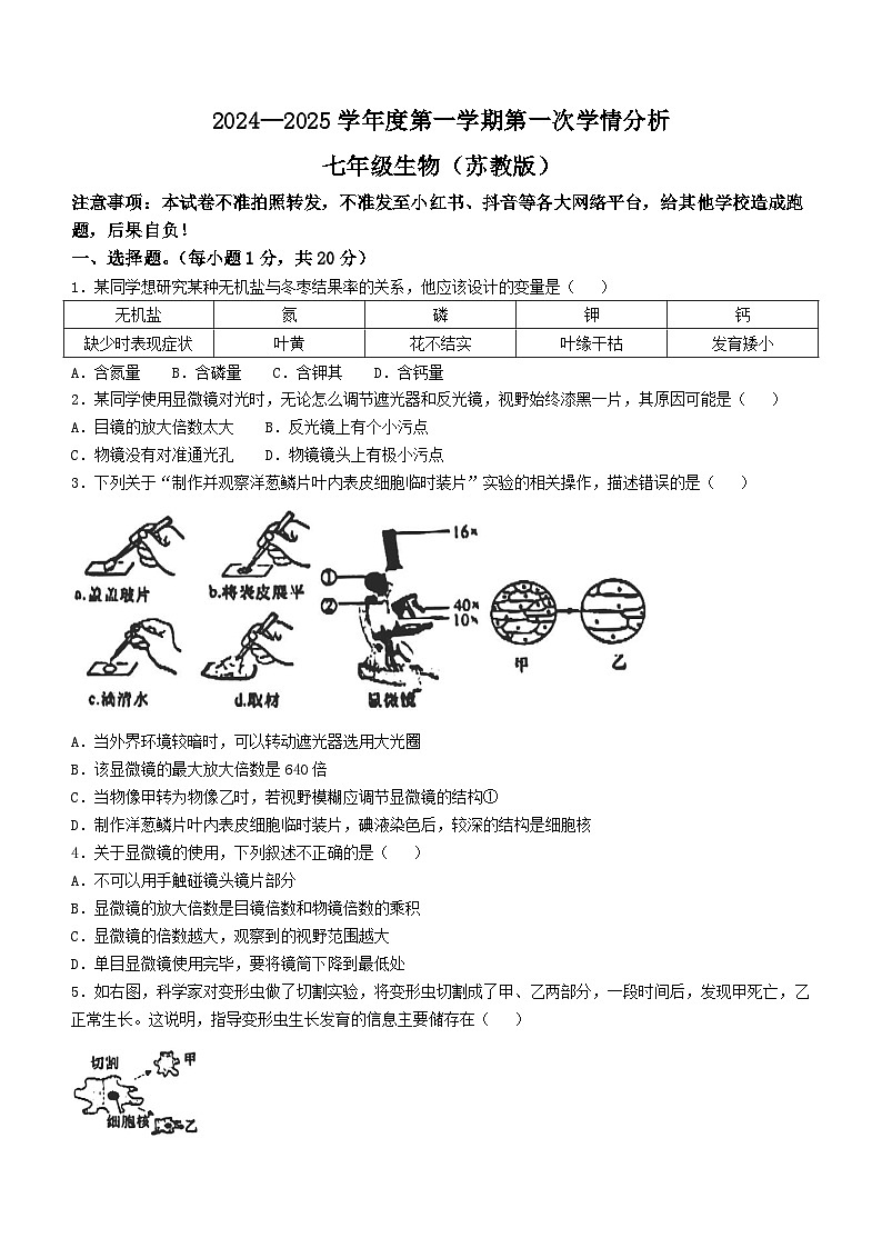 河南省周口市鹿邑县2024-2025学年七年级上学期10月月考生物试题第1页