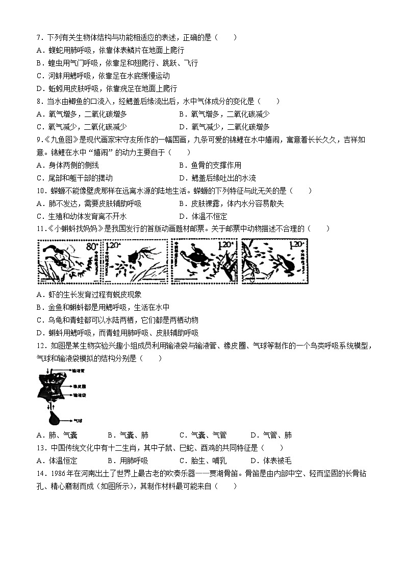 山西省太原师范学院附属中学2024-2025学年八年级上学期10月月考生物试题第2页