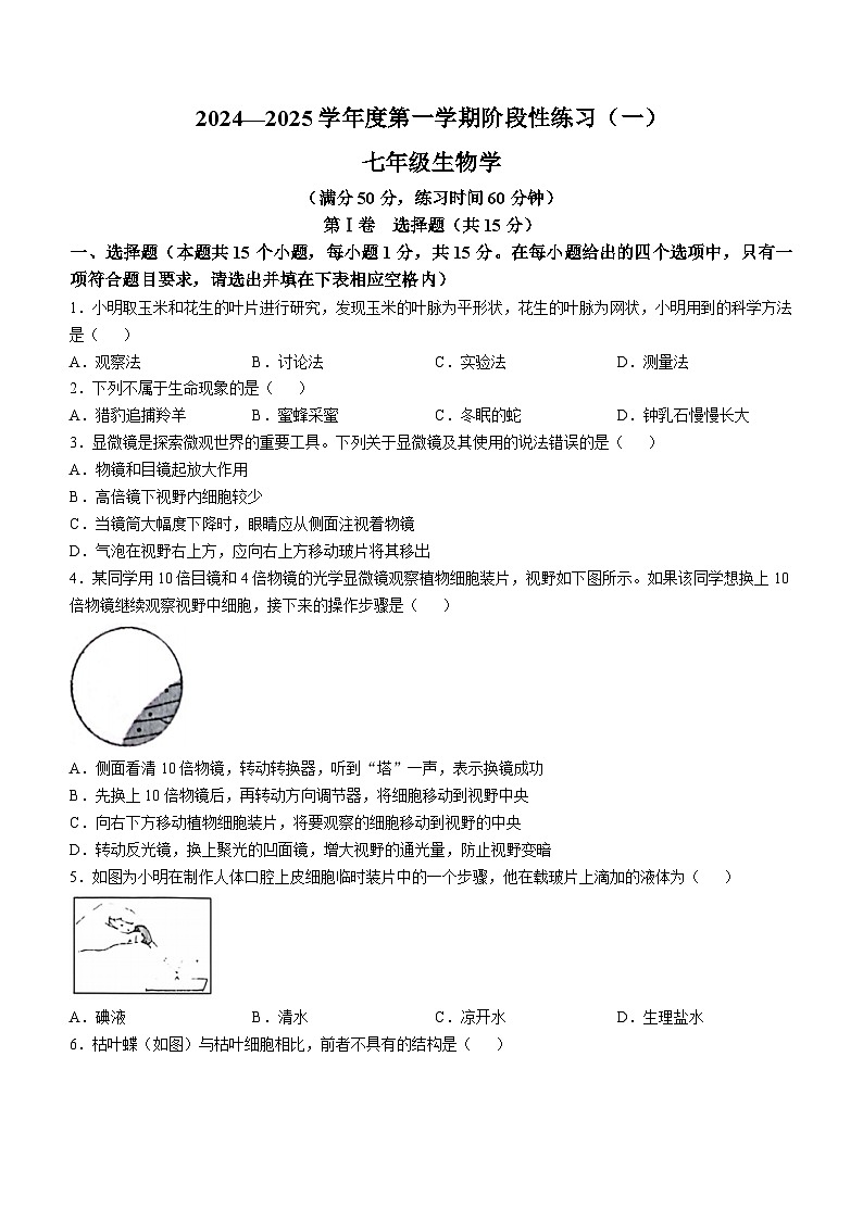 山西省临汾市洪洞县第二中学校2024-2025学年七年级上学期10月月考生物试题(无答案)01