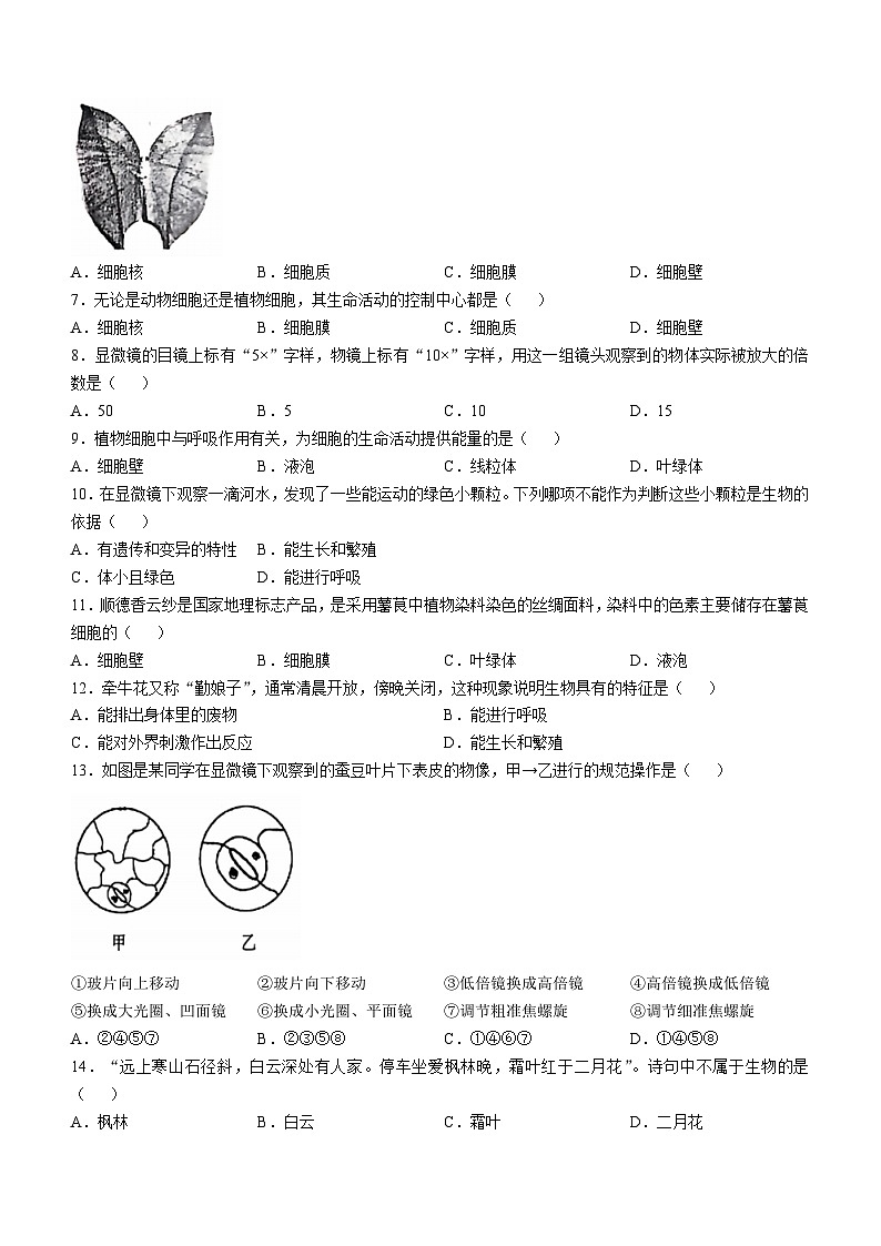 山西省临汾市洪洞县第二中学校2024-2025学年七年级上学期10月月考生物试题(无答案)02