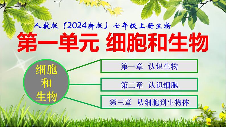 人教版(2024新版)七年级上册生物第一单元 生物和细胞 复习课件第1页