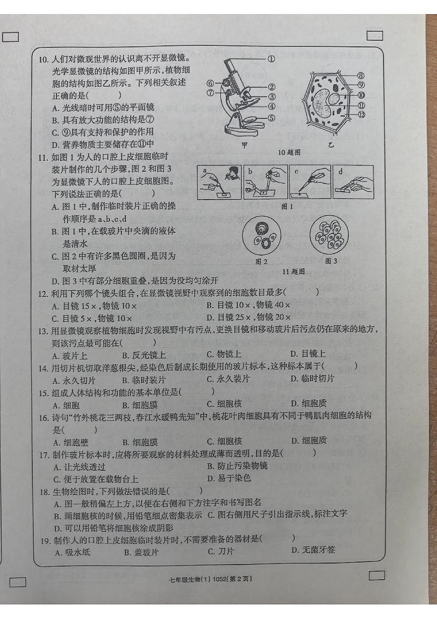 河南省新鄉(xiāng)市原陽縣路寨鄉(xiāng)賈村實驗學(xué)校2024-2025學(xué)年七年級上學(xué)期10月月考生物試題第2頁