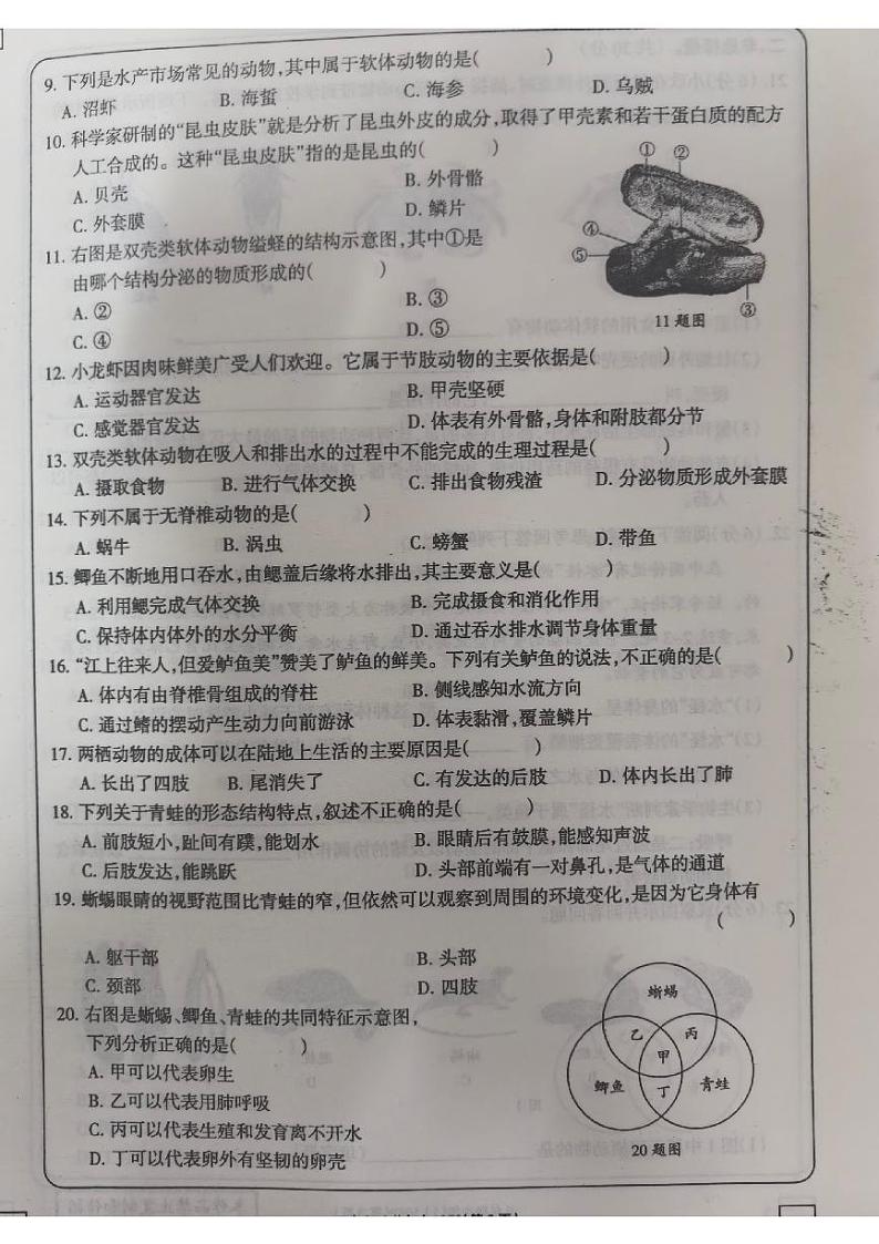 河南省新乡市原阳县路寨乡贾村实验学校2024-2025学年八年级上学期10月月考生物试题02