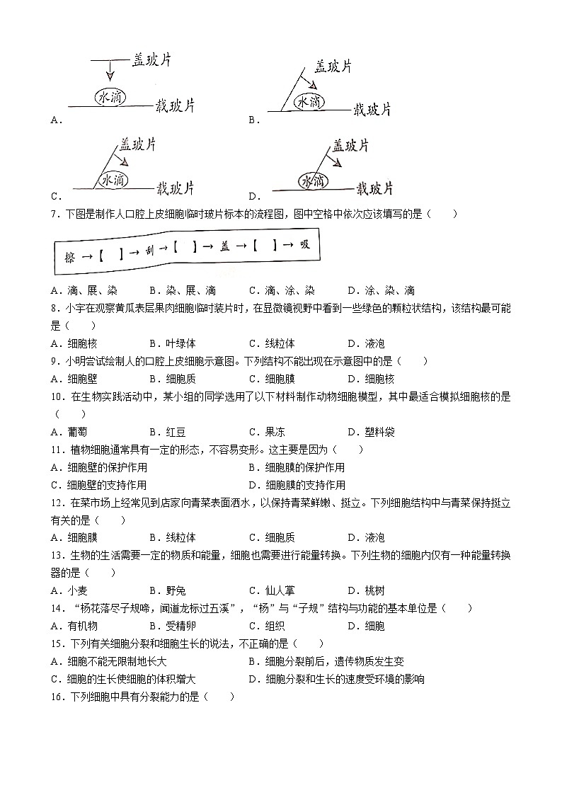 河北省邯郸市广平县实验中学2024-2025学年七年级上学期10月月考生物试题(无答案)第2页