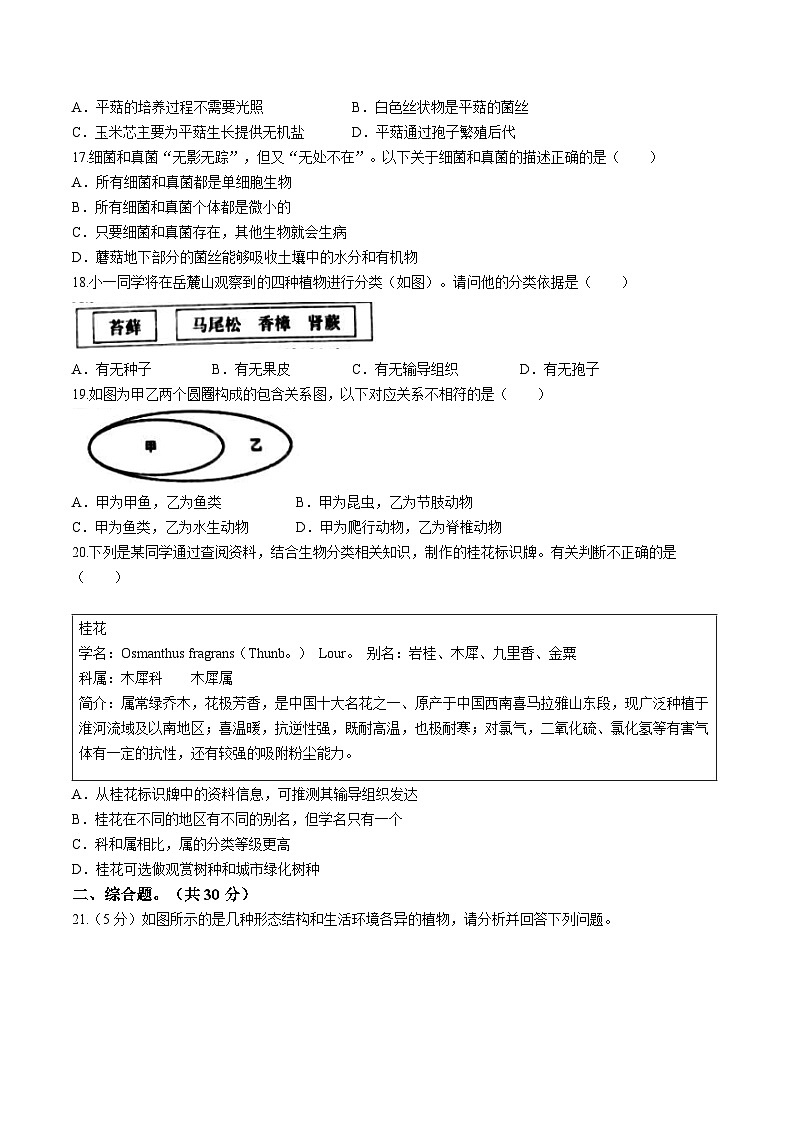 河南省周口市鹿邑县2024-2025学年八年级上学期10月月考生物试题第3页