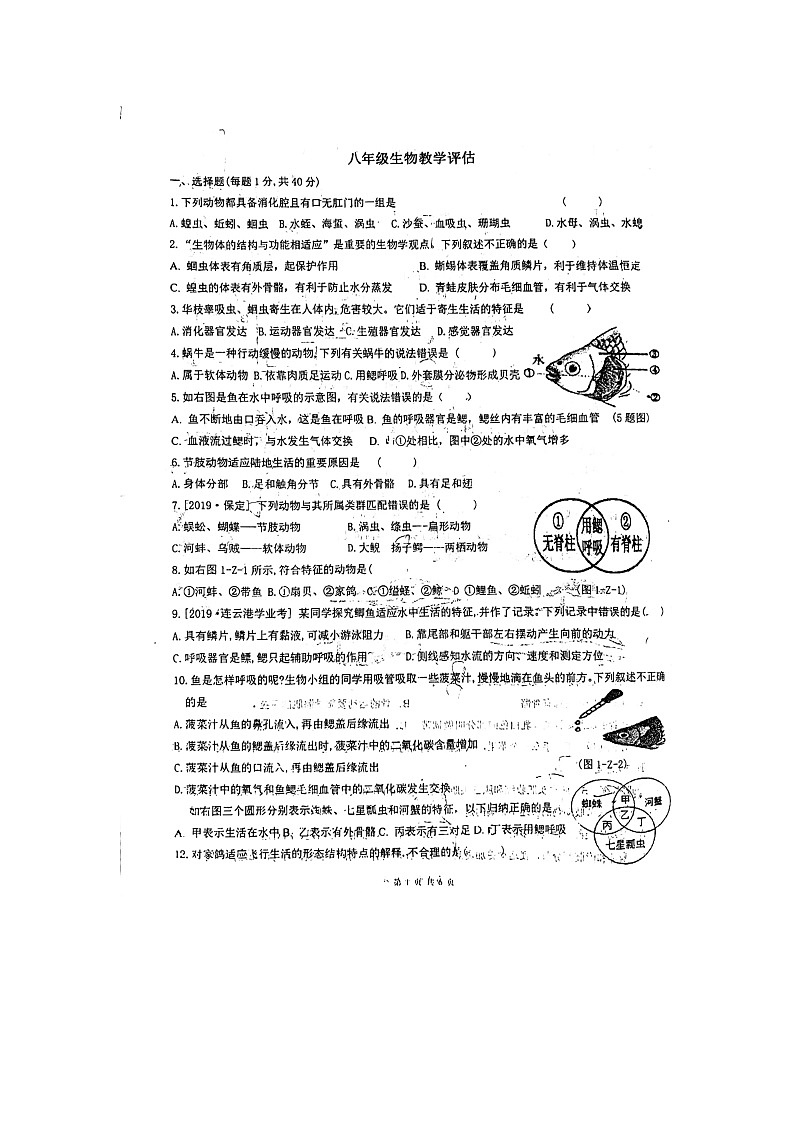 山东省聊城市茌平区茌山中学2024-2025学年八年级上学期10月份月考生物试题第1页