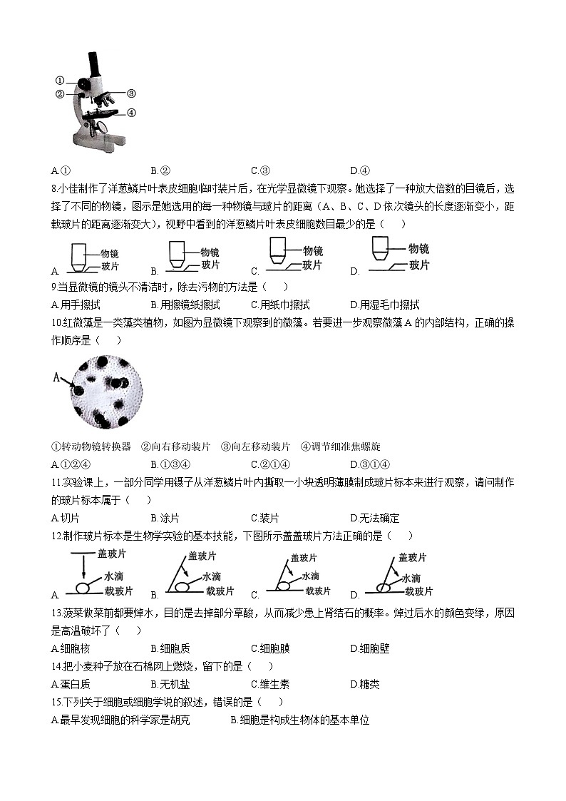 广西南宁市青秀区凤岭南路中学2024-2025学年七年级上学期10月月考生物试题(无答案)第2页