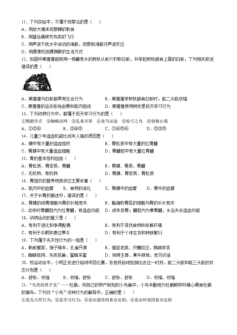福建省龙岩市长汀县第一中学等校2024-2025学年八年级上学期第一次月考生物试题(无答案)02