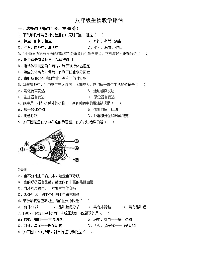 山东省聊城市茌平区茌山中学2024-2025学年八年级上学期10月份月考生物试题(无答案)第1页