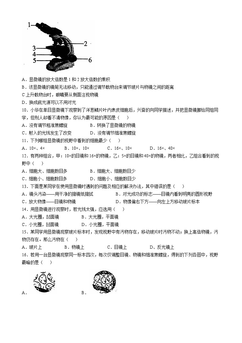 山东省聊城市冠县实验中学2024-2025学年七年级上学期第一次月考生物试题(无答案)第2页