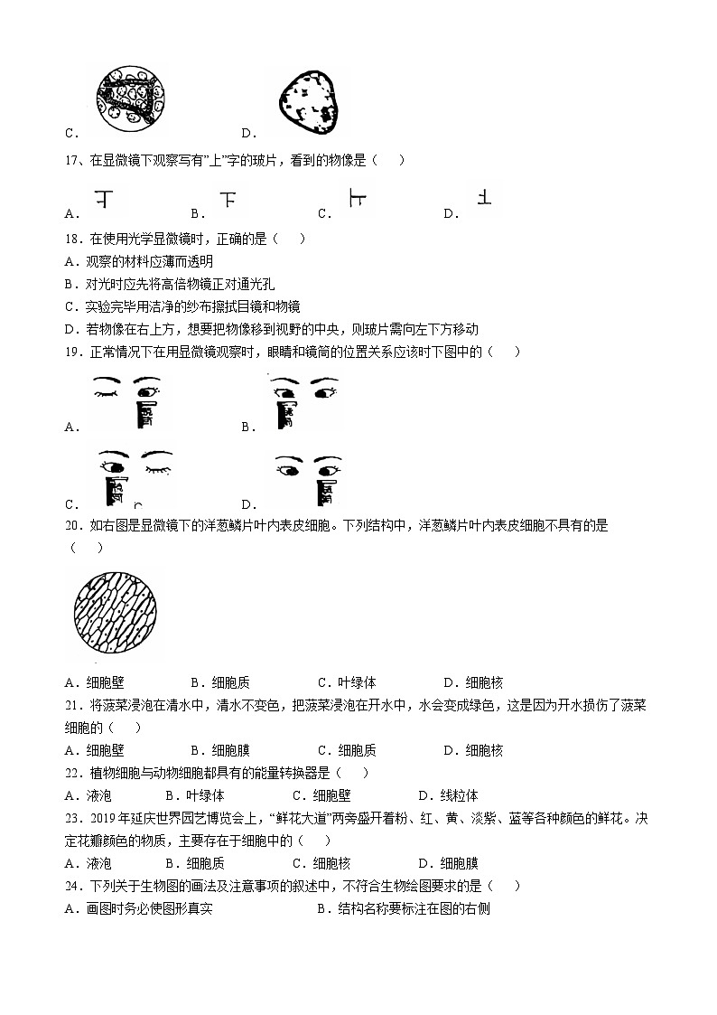 山东省聊城市冠县实验中学2024-2025学年七年级上学期第一次月考生物试题(无答案)第3页