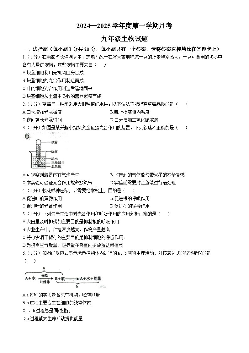 山东省菏泽市东明县第二初级中学2024-2025学年九年级上学期10月月考生物试题(无答案)