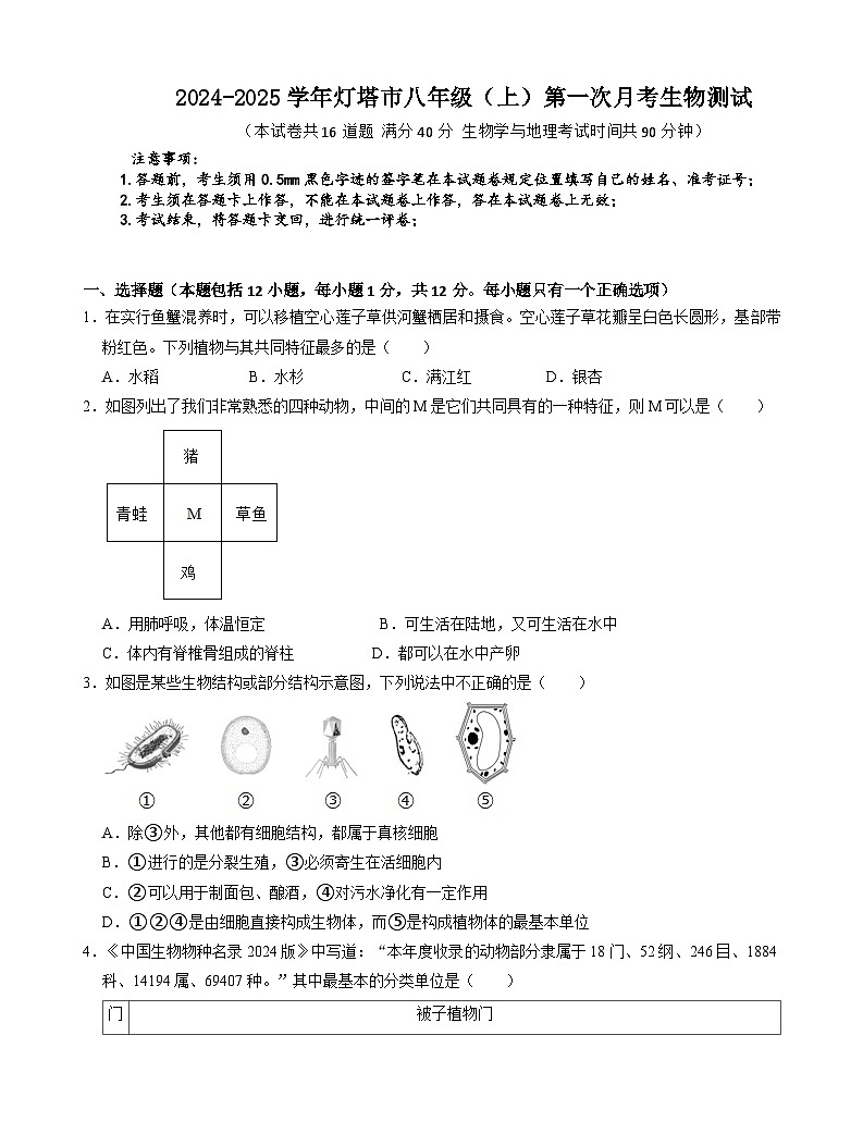 辽宁省辽阳市灯塔市2024-2025学年八年级上学期10月月考生物试题01