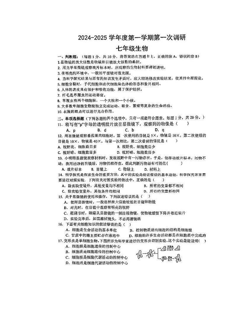 江苏省南京市上元中学2024-2025学年七年级上学期第一次月考生物试卷第1页