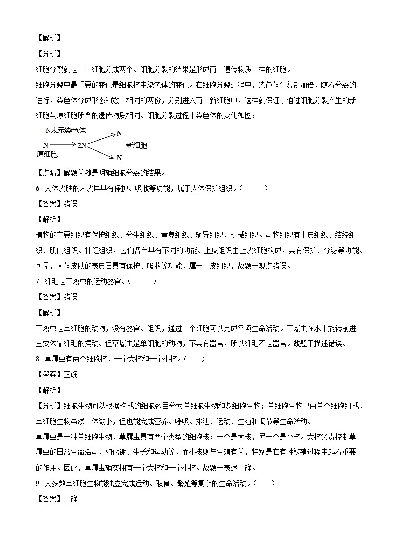 江苏省南京市上元中学2024-2025学年七年级上学期第一次月考生物试题(解析版)02