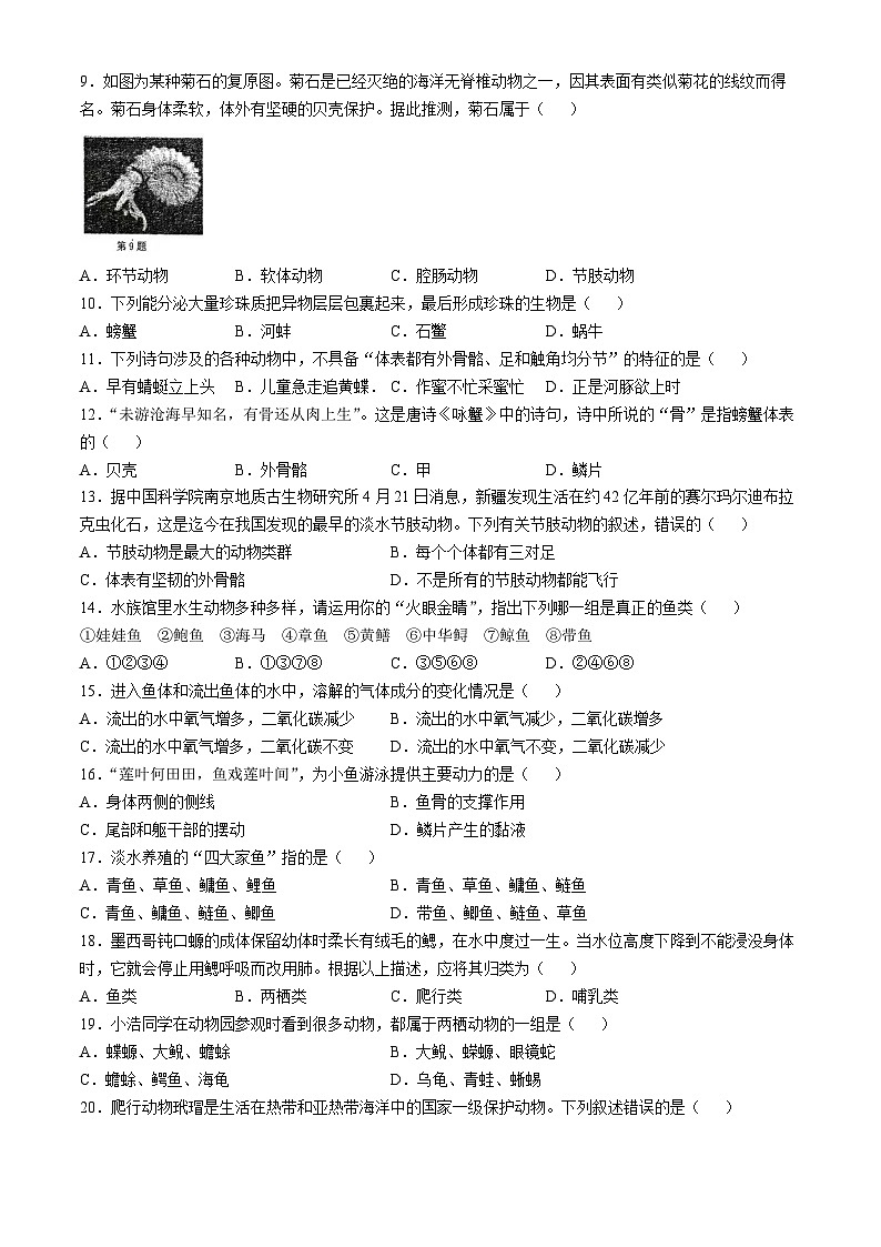 安徽省舒城第二中学2024-2025学年八年级上学期10月月考生物试题(无答案)第2页