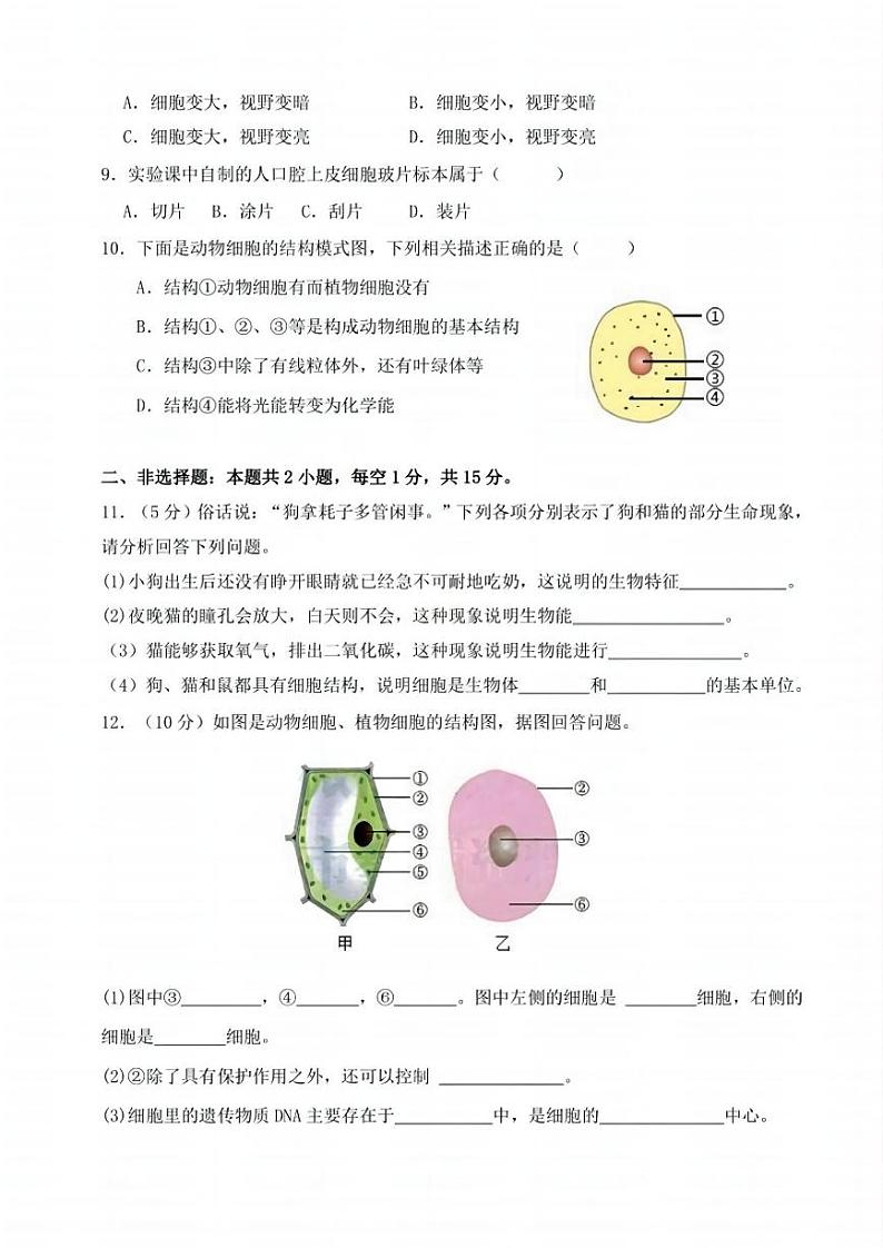 2024年哈尔滨市萧红中学七年级(上)10月月考生物试卷及答案第2页