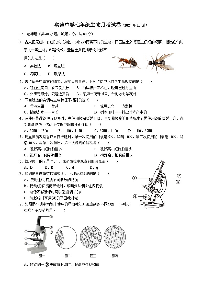 山东省临沂市沂水县沂水实验中学2024--2025学年七年级上学期10月月考生物试卷第1页