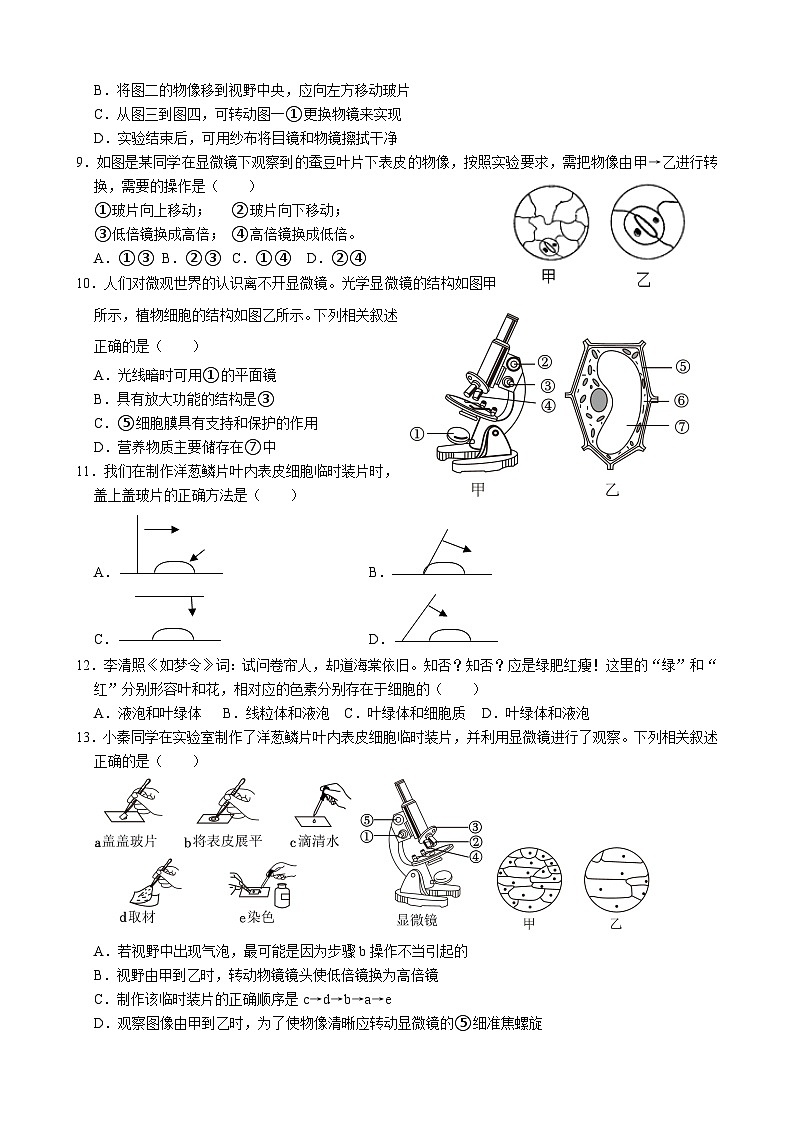 山东省临沂市沂水县沂水实验中学2024--2025学年七年级上学期10月月考生物试卷第2页