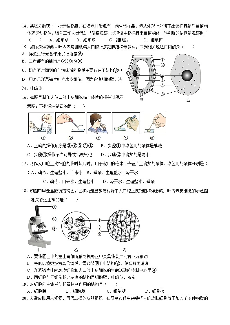 山东省临沂市沂水县沂水实验中学2024--2025学年七年级上学期10月月考生物试卷第3页