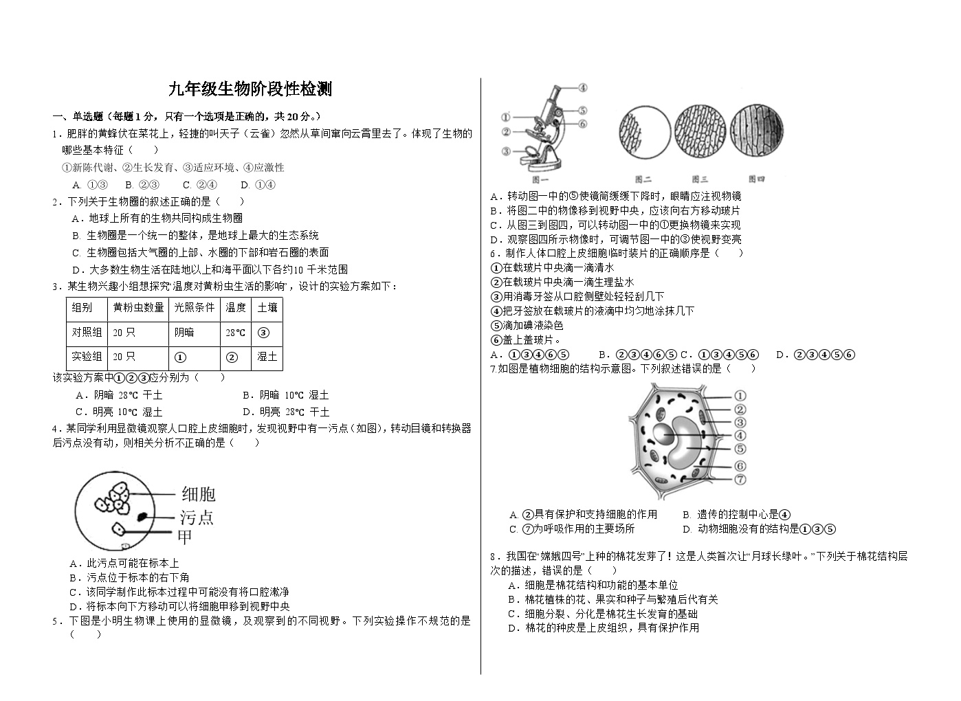 山东省菏泽市牡丹区2024-2025学年九年级九年级上学期生物月考试题