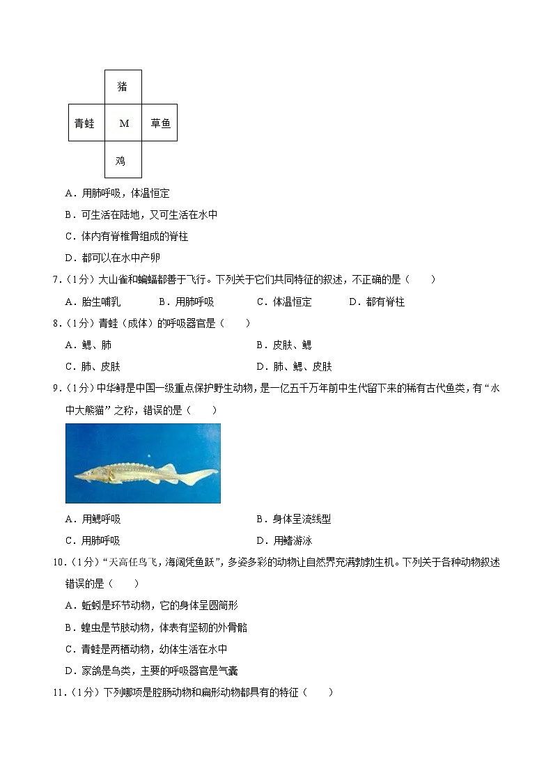 河南省南阳市内乡县瓦亭中学2024-2025学年八年级上学期月考生物试卷(9月份)第2页