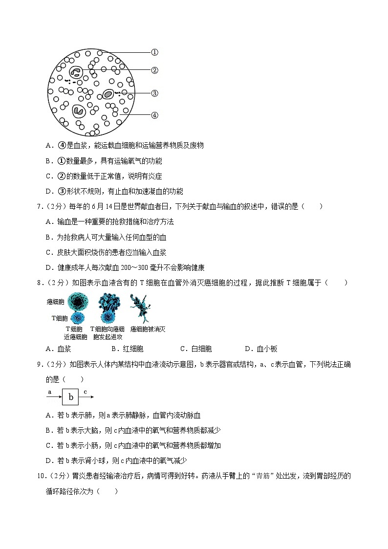 江苏省扬州市仪征市2023-2024学年八年级上学期期中考试生物试卷02