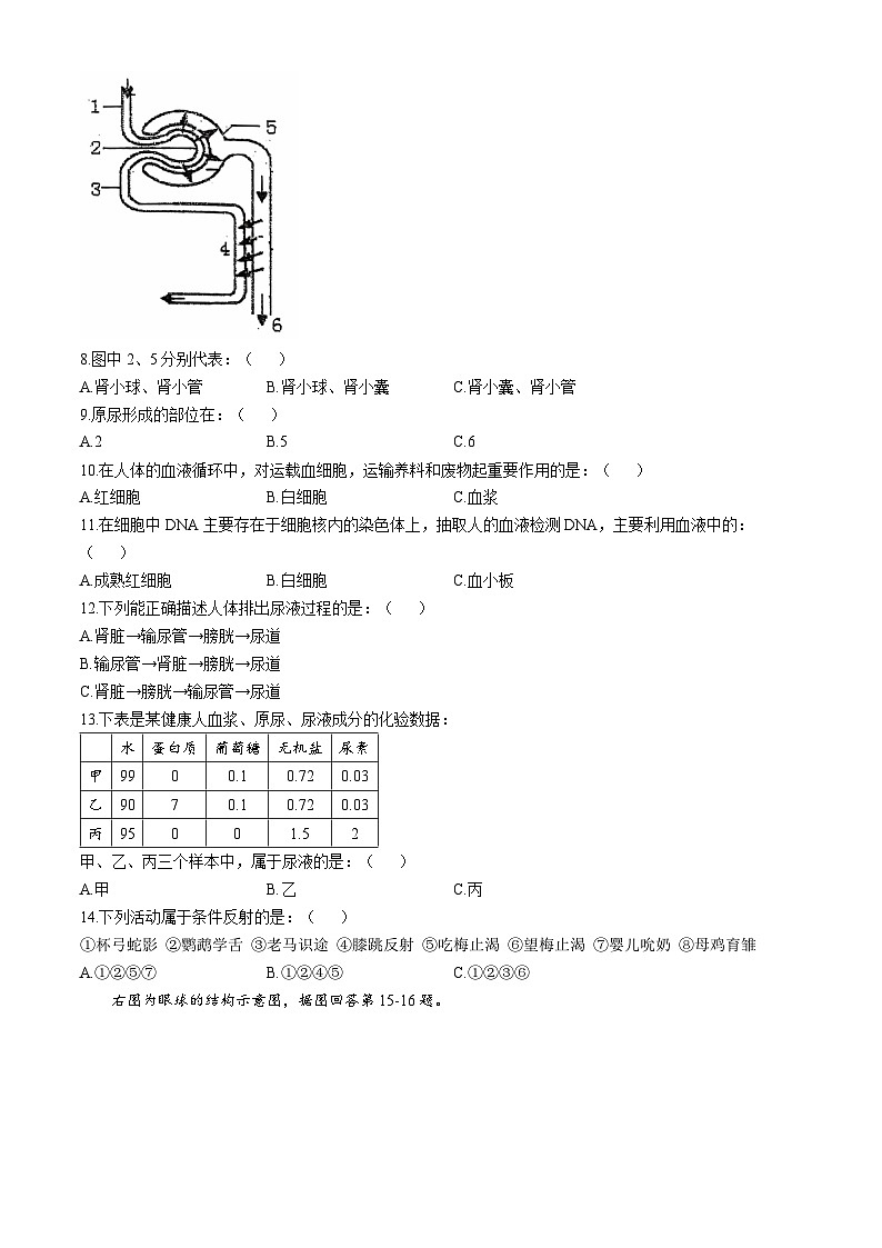 江苏省淮安市盱眙县第三中学2024-2025学年八年级上学期10月月考生物试题(无答案)第2页