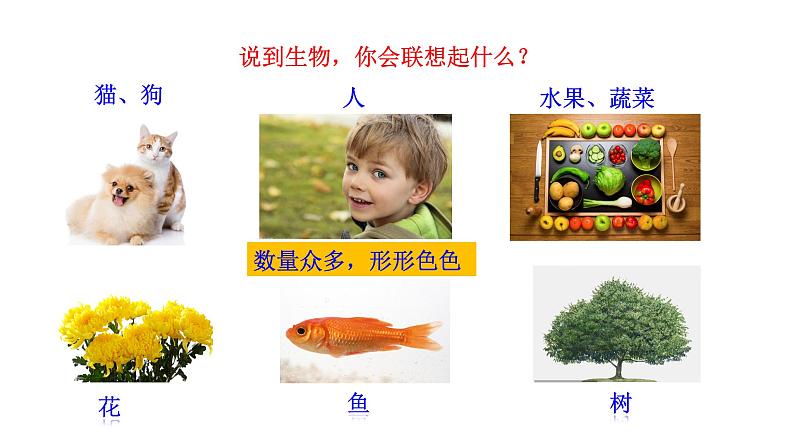 1.1.1 形形色色的生物 课件----2024-2025学年北师大(2024版)七年级生物上册第6页