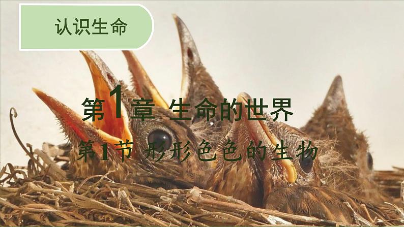 1.1.1形形色色的生物课件 2024-2025学年北师大(2024版)七年级生物上册第1页