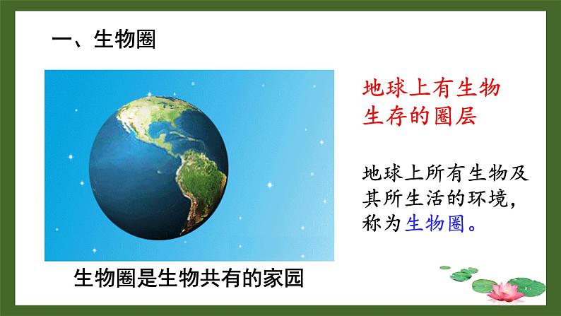 1.1.1形形色色的生物课件 2024-2025学年北师大(2024版)七年级生物上册第5页