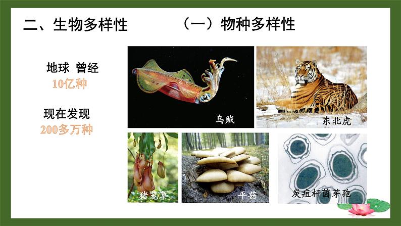 1.1.1形形色色的生物课件 2024-2025学年北师大(2024版)七年级生物上册第8页
