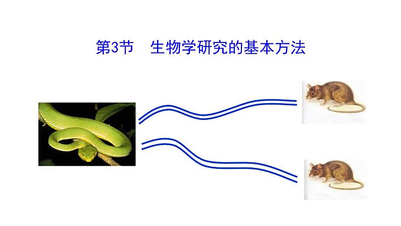 1.1.3第3节 生物学研究的基本方法第1页