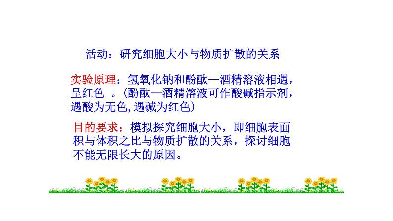2.3.1 细胞通过分裂而增殖 课件 --2024-2025学年北师大(2024版)七年级生物上册07