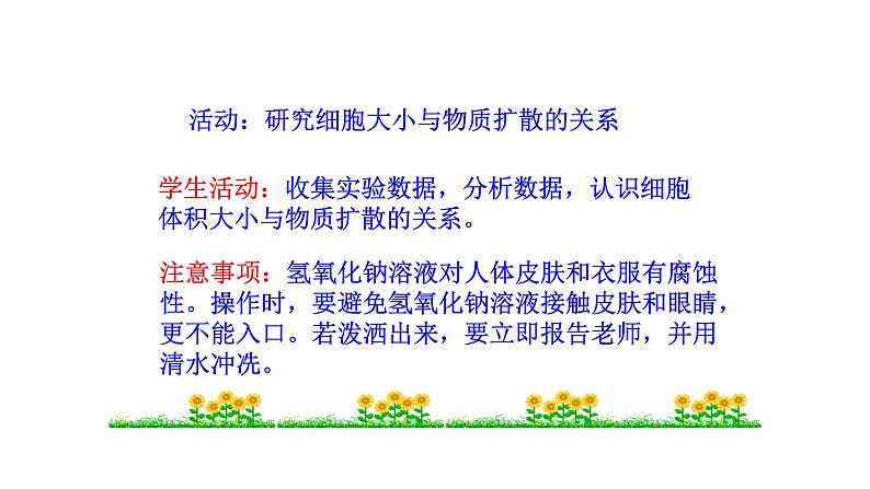 2.3.1 细胞通过分裂而增殖 课件 --2024-2025学年北师大(2024版)七年级生物上册08