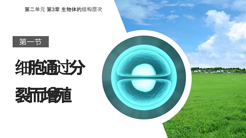 2.3.1 细胞通过分裂而增殖 课件--2024-2025学年北师大(2024版)七年级生物上册第1页