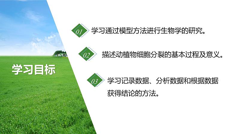 2.3.1 细胞通过分裂而增殖 课件--2024-2025学年北师大(2024版)七年级生物上册第2页