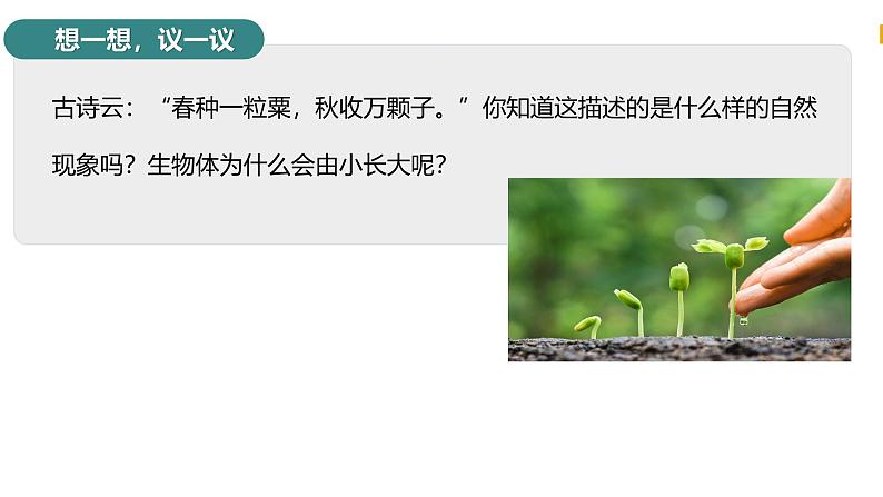 2.3.1 细胞通过分裂而增殖 课件--2024-2025学年北师大(2024版)七年级生物上册第3页