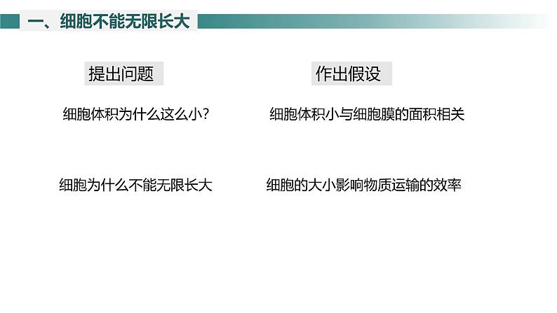 2.3.1 细胞通过分裂而增殖 课件--2024-2025学年北师大(2024版)七年级生物上册第6页