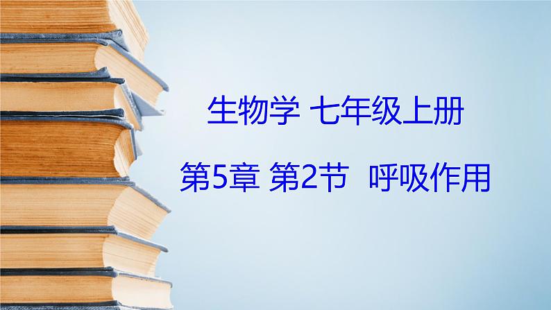 3.4.2呼吸作用说课课件----2024-2025学年北师大(2024版)七年级生物上册01