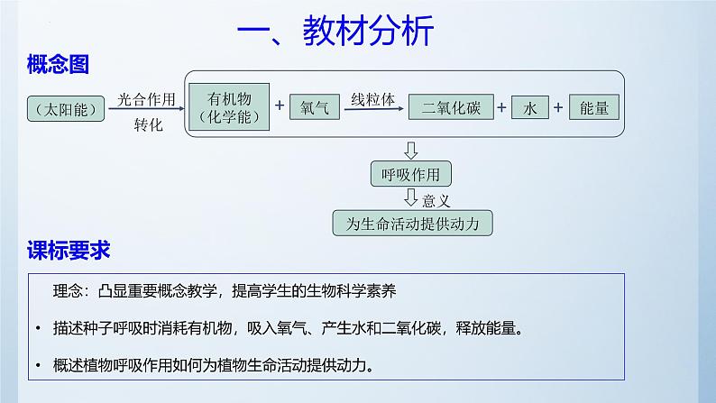 3.4.2呼吸作用说课课件----2024-2025学年北师大(2024版)七年级生物上册04
